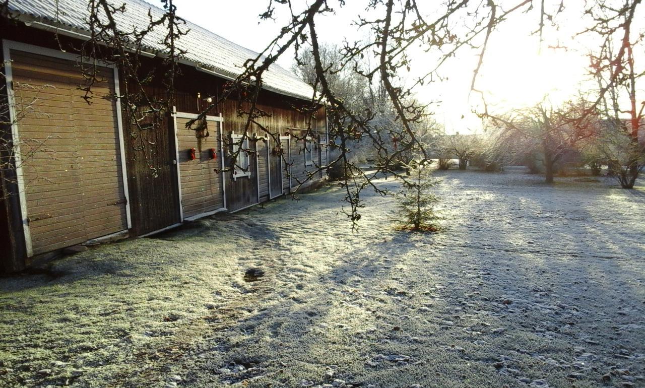 Draenggardens Stuga Pa Genuin Raettviksgard Boda (Dalarna) Exterior foto